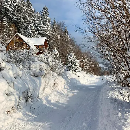 Tatil Evi Wesoly Na Czerwonym Szlaku Pisarzowa
